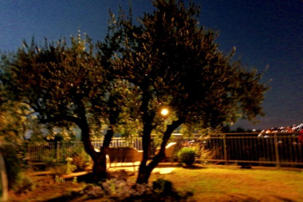 Вилла Casa Vista Mare - Superb Garden And Parking Included Империя Экстерьер фото